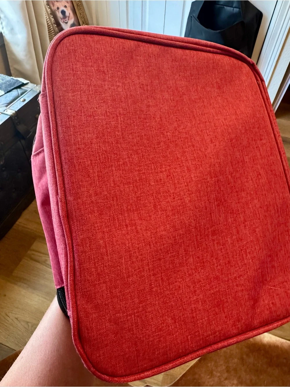 Double Compartment Travel Manicure/Cosmetic Bag in Pink